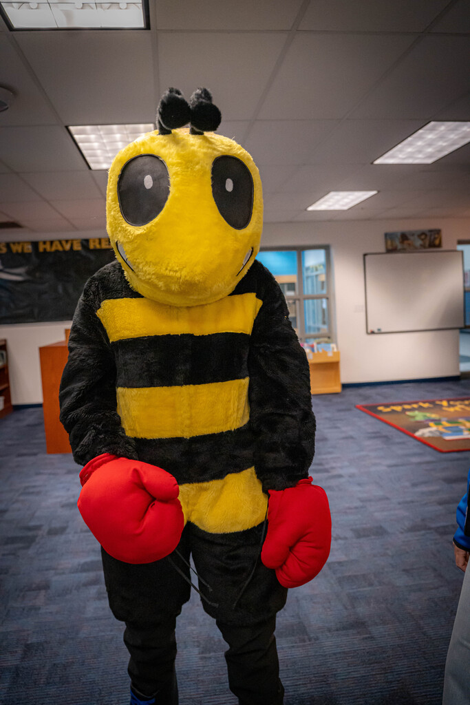 Bee mascot with red boxing gloves