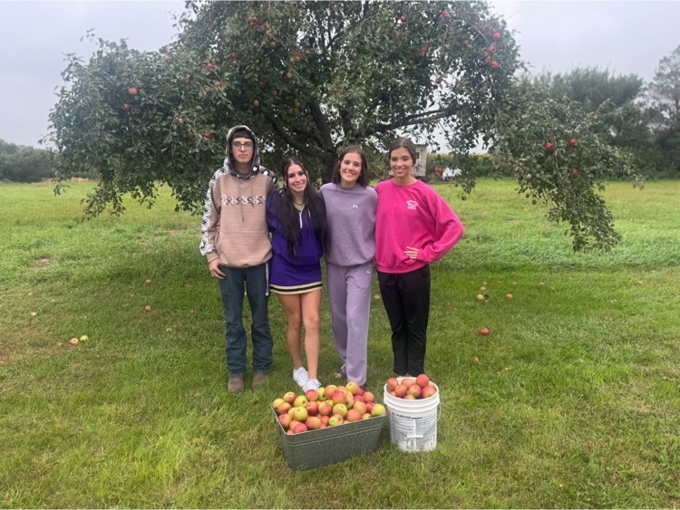 Apple picking
