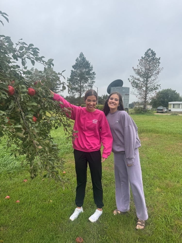 Apple picking 