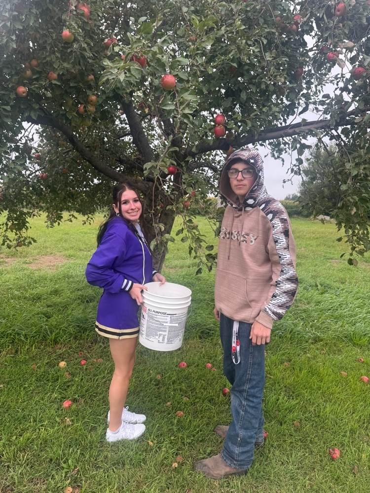 Apple picking 