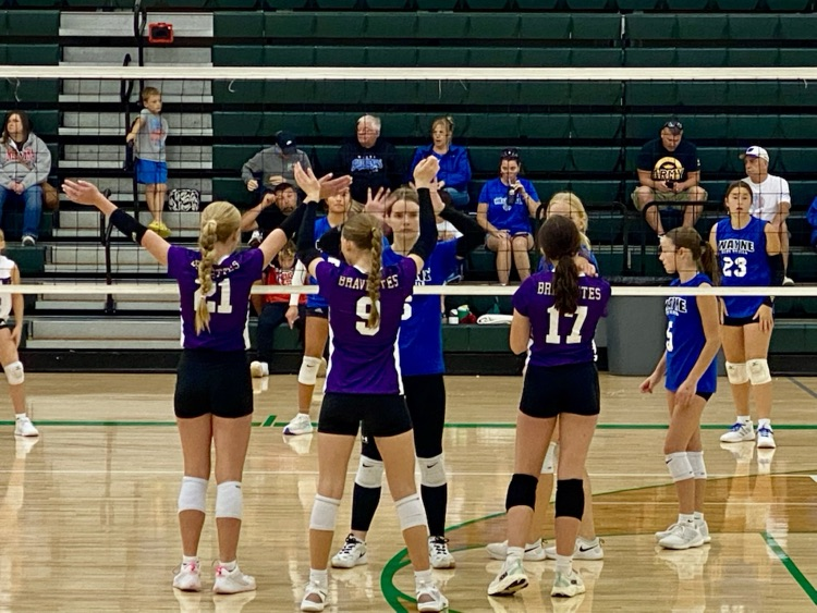 Vball