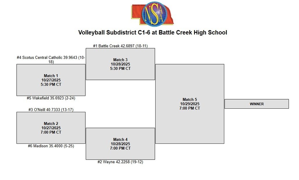 district volleyball