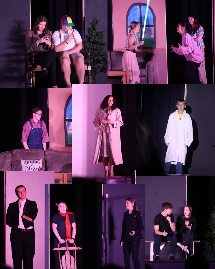 Collage of Show Pictures