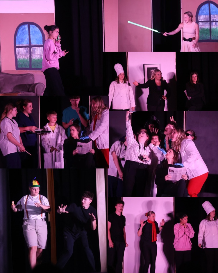Collage of Show Pictures