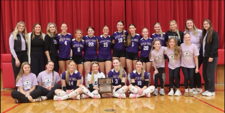 volleyball team 