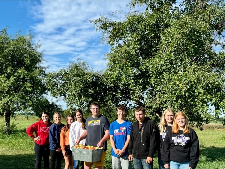 apple picking