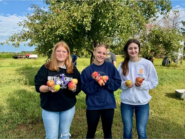 apple picking
