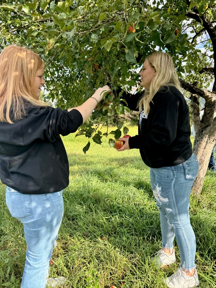 apple picking