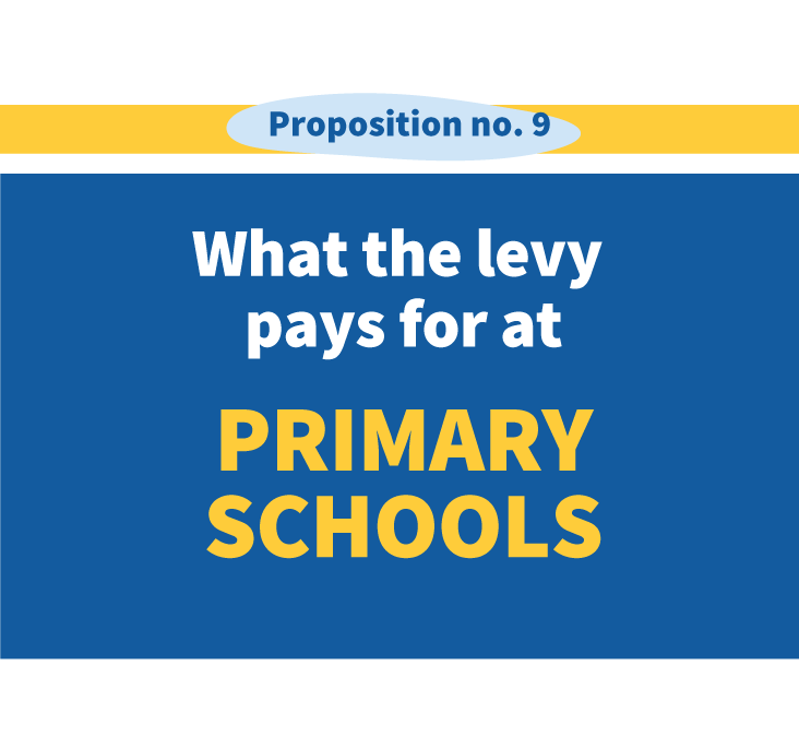 A graphic reading "what the levy pays for at primary schools"
