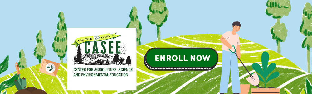 enroll now