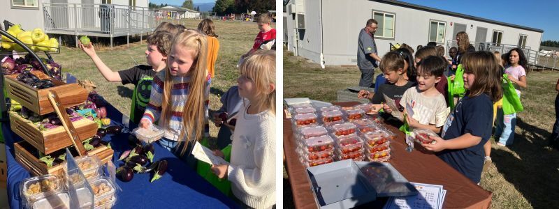 Students explore local produce as part of Taste Washington Day