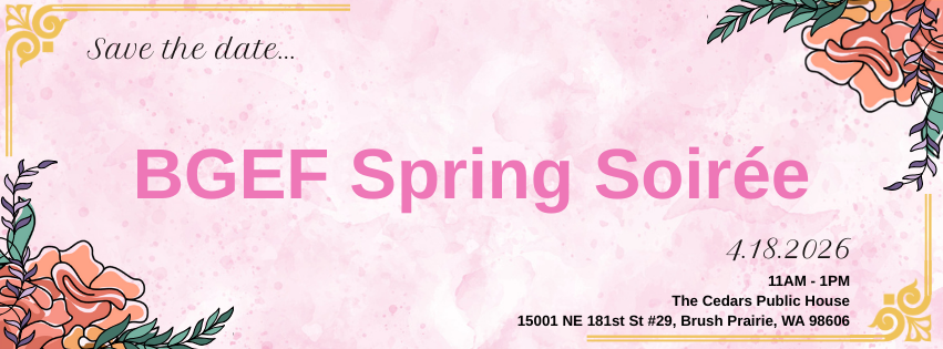 spring soiree event graphic