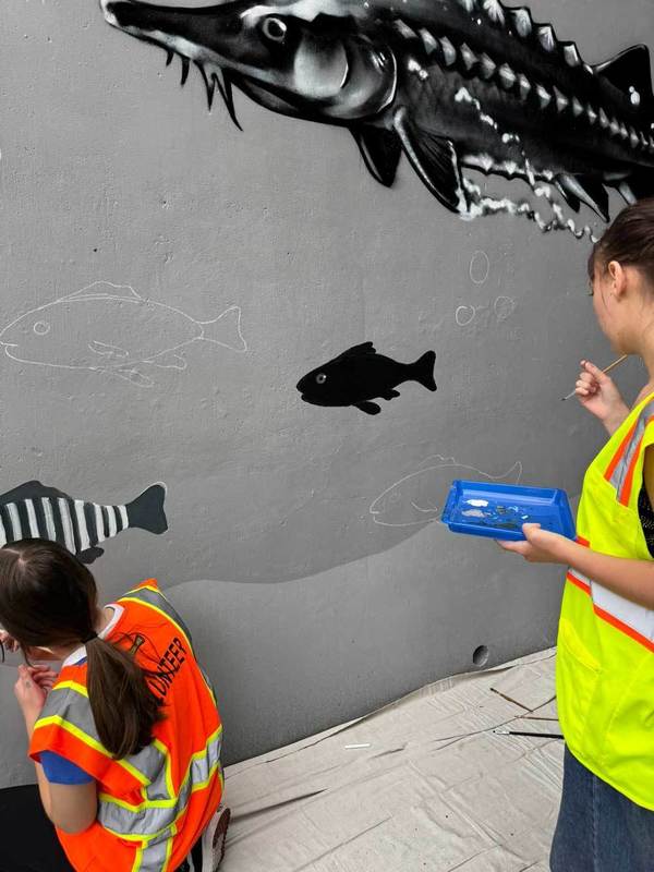 painting a mural 4