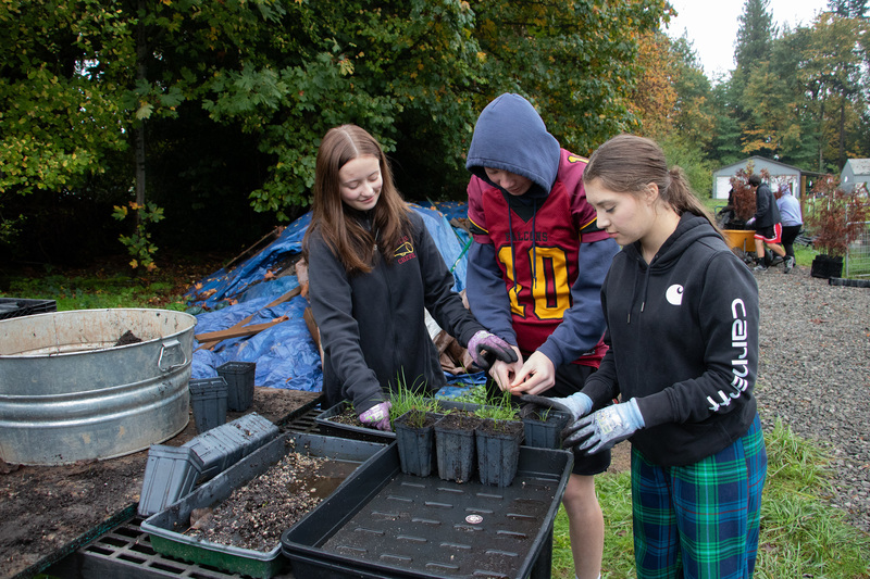 students packing plants