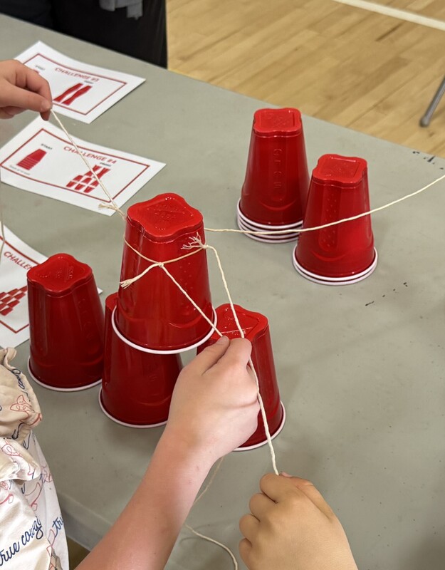 steam activity night
