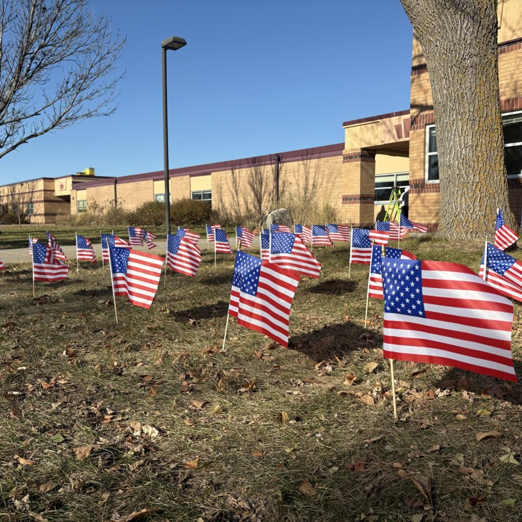 field of flags