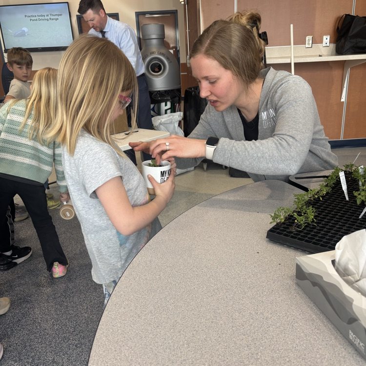 Putting the seedling in 🌱 