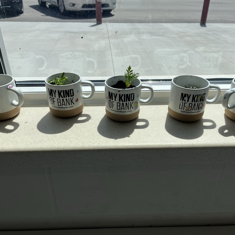 Thank you My Kind of Bank!🏦 