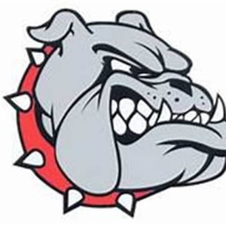 Bulldog