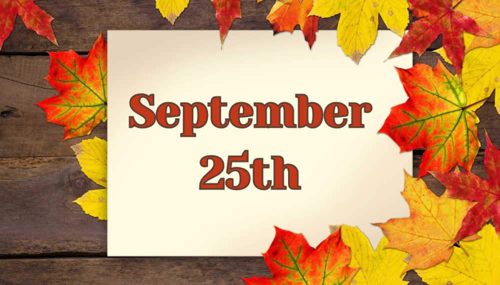 Daily Bulletin