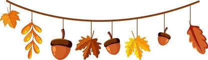 acorns