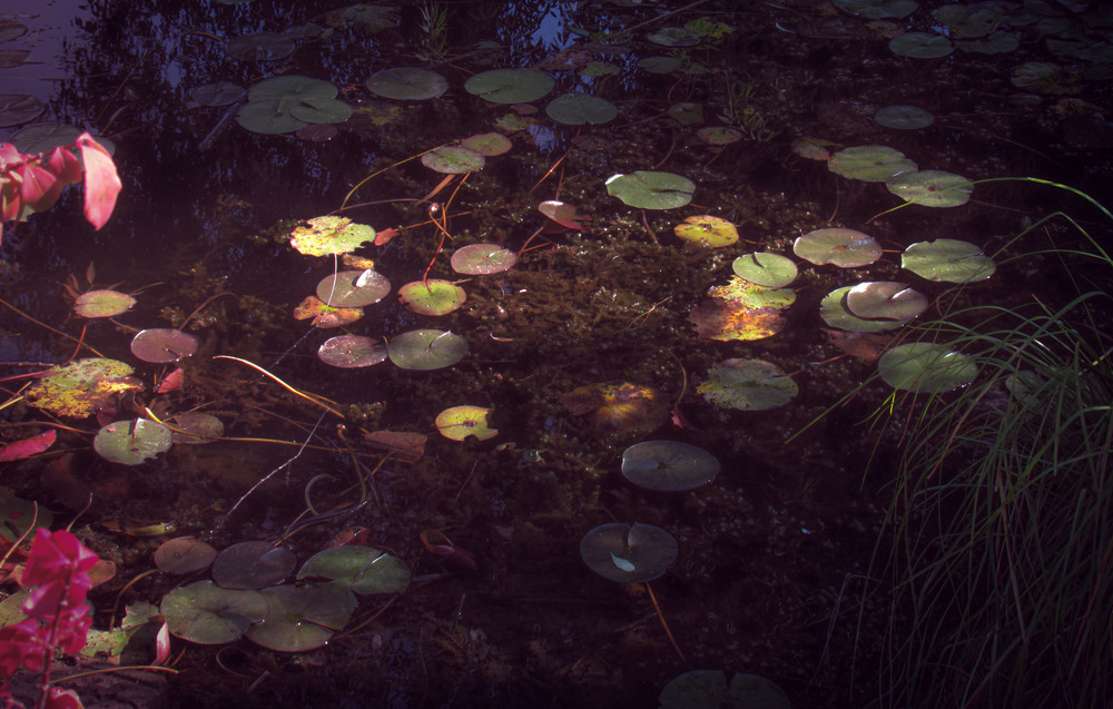 Scholastic Art & Writing Award Winners photo 2026