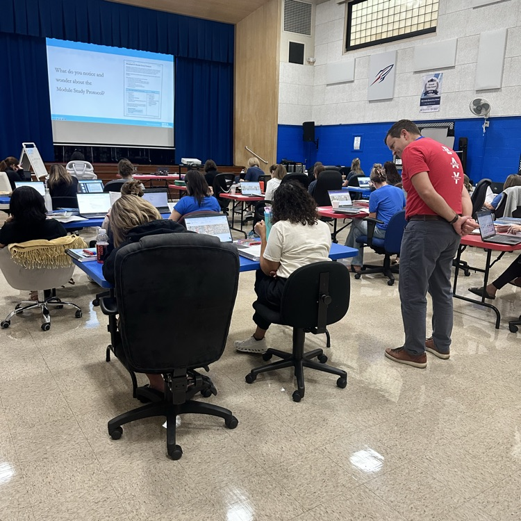 Professional development day, 2025