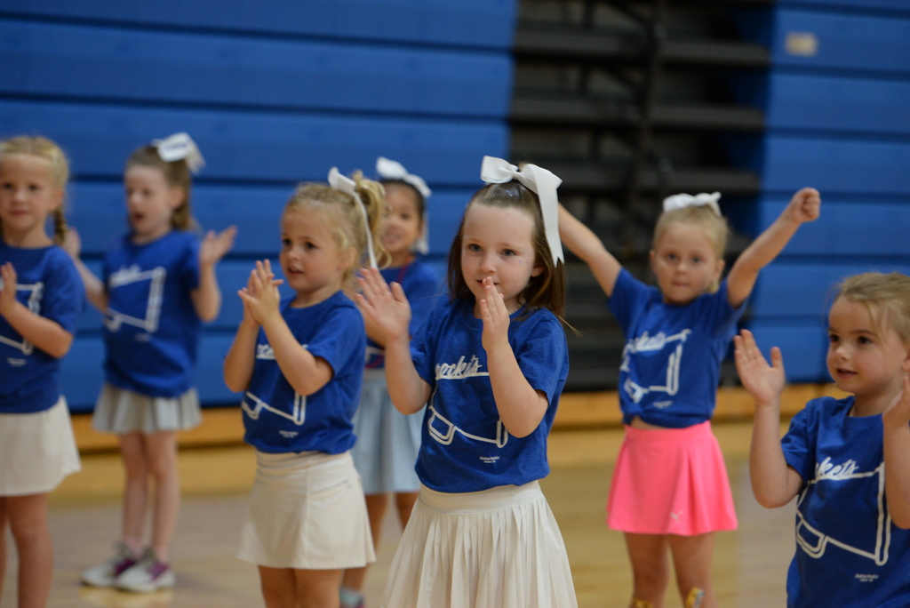 mini cheer night fall 2025