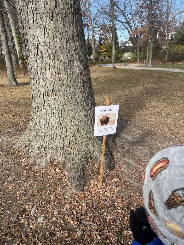 second-grade american west unit fall 2025 