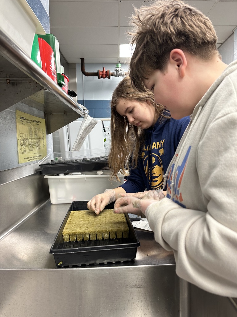 planting lettuce seeds at bay middle school photo