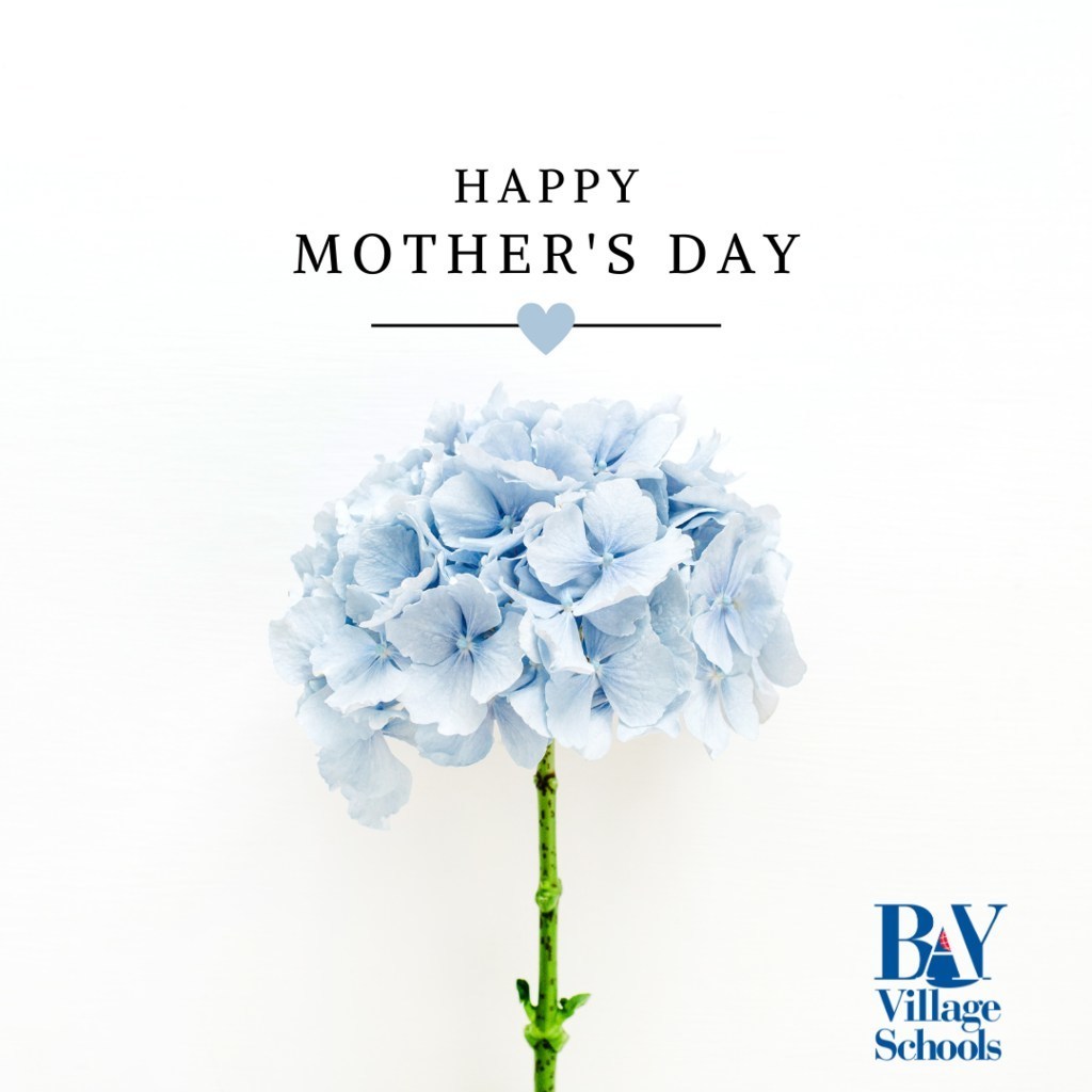 A hydrangea flower single stem with the BVCSD logo for a Happy Mother's Day message image.