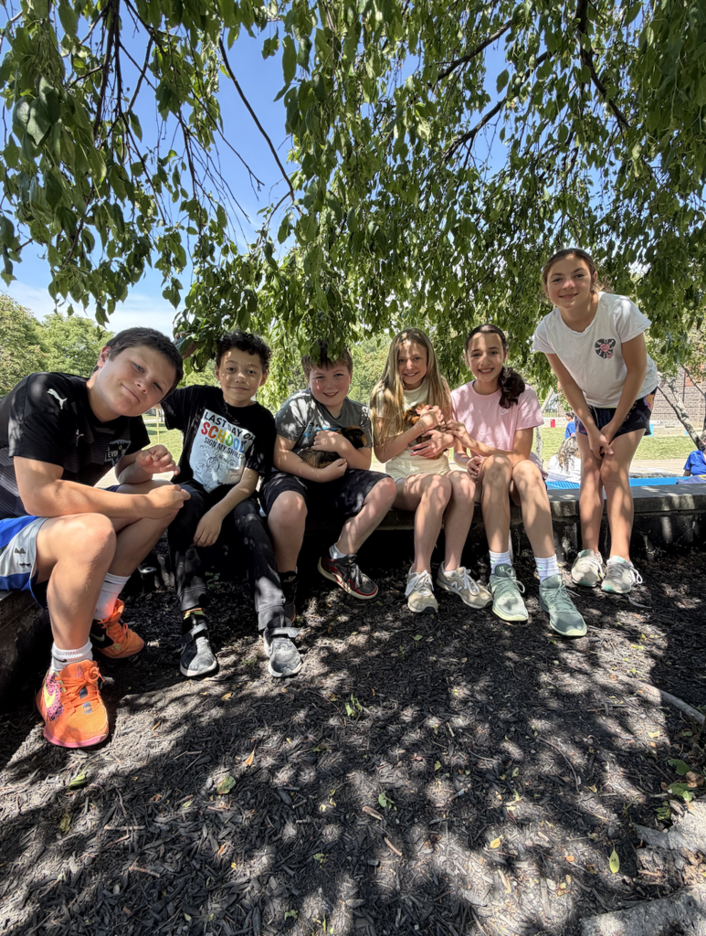 Fifth-graders say goodbye to the guinea pigs for the summer. The pigs head to student homes during the summer. 