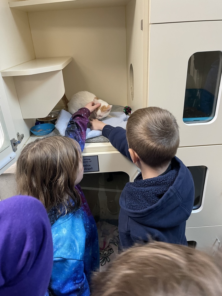 Westerly K Kids at Friendship APL