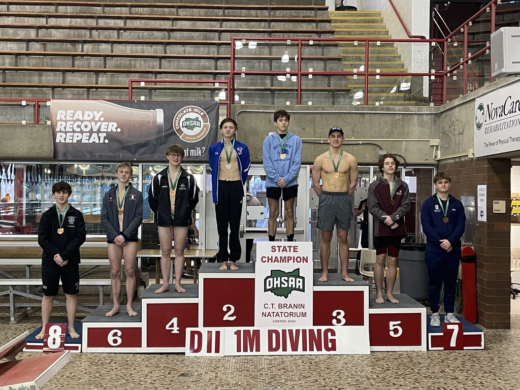 2nd place charlie vatolin at state diving meet photo