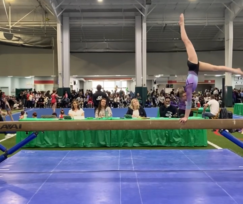 State Gymnastics Championships photo