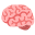 brain