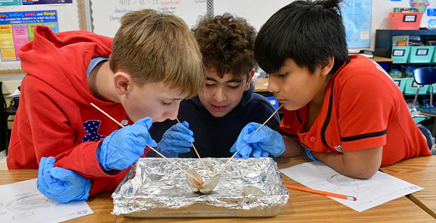 Fifth graders dive into local ecology with Seatuck