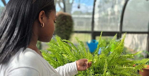 Girl looking at plant.