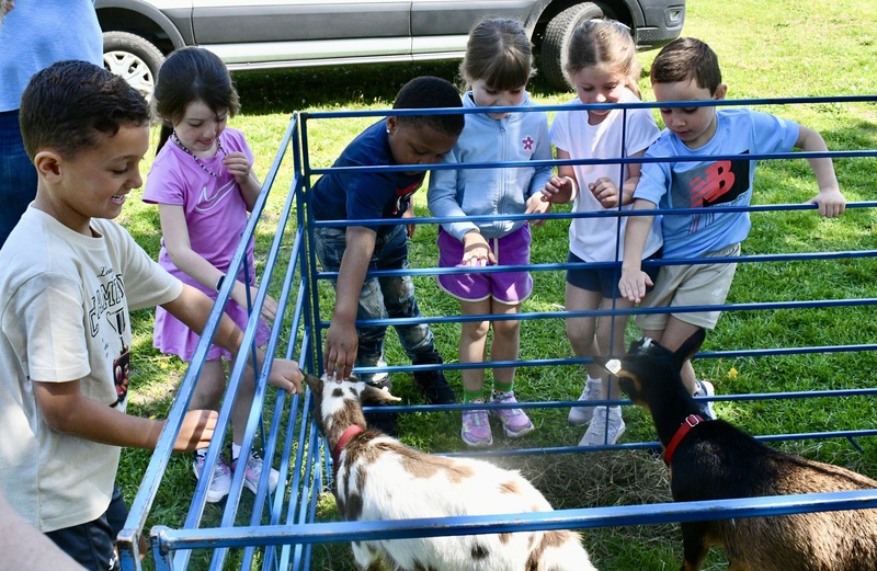 Barnyard buddies visit Blue Point Elementary 