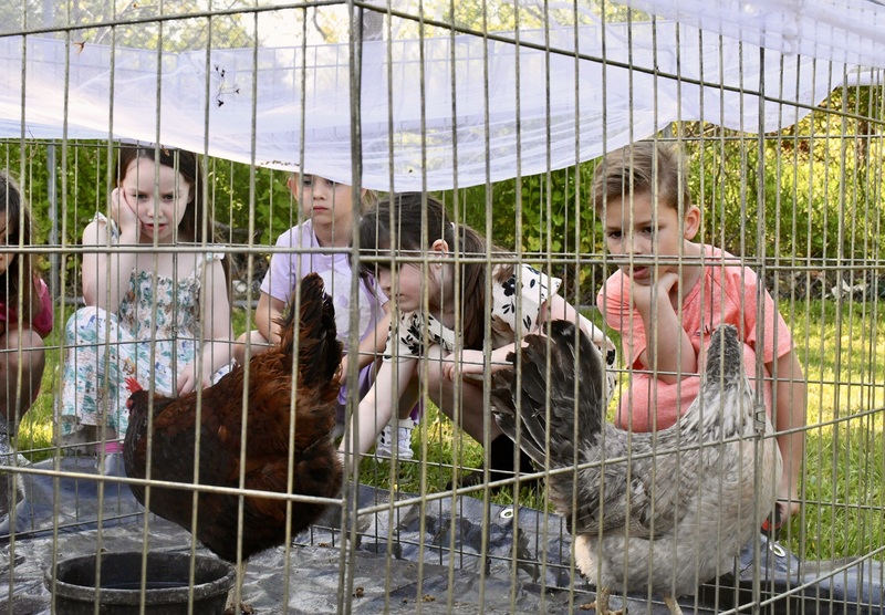 Barnyard buddies visit Blue Point Elementary 