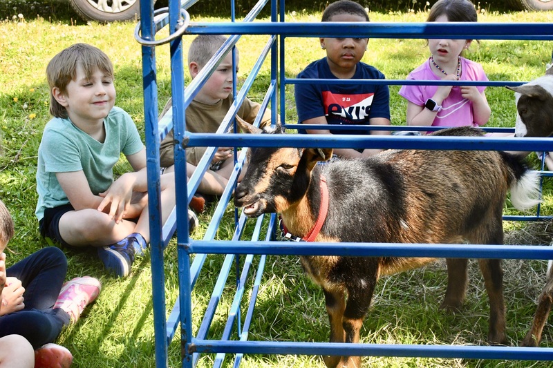Barnyard buddies visit Blue Point Elementary 