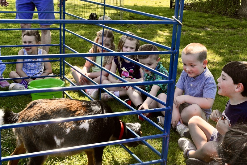 Barnyard buddies visit Blue Point Elementary 