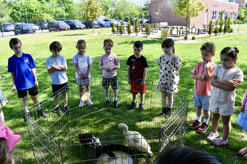 Barnyard buddies visit Blue Point Elementary 