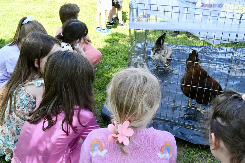 Barnyard buddies visit Blue Point Elementary 