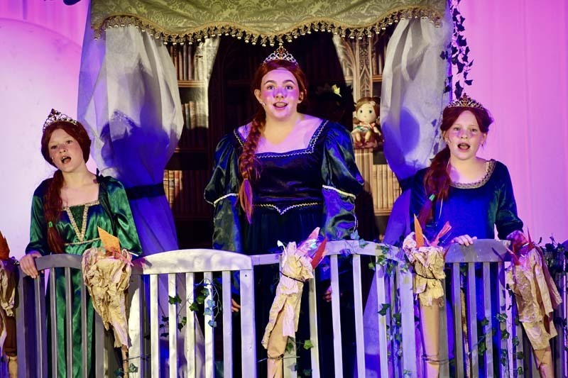 James Wilson Young Middle School students took audiences to the kingdom of Far Far Away during their production of “Shrek Jr. the Musical."