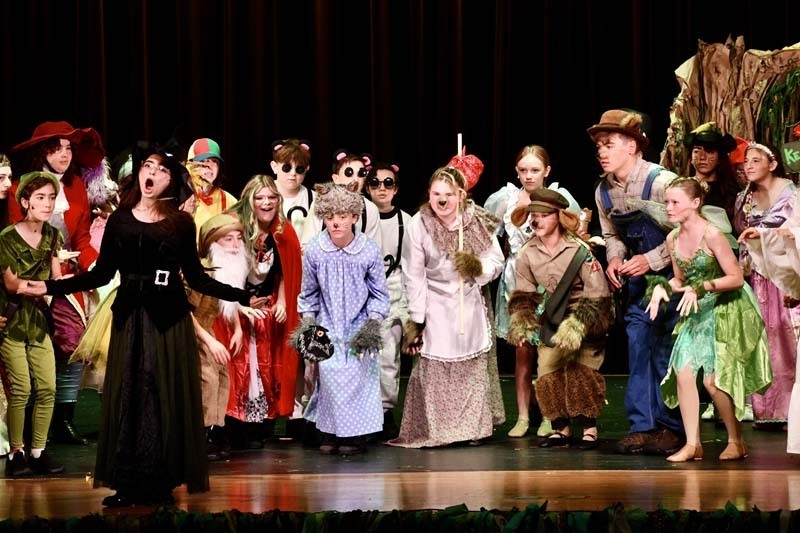 James Wilson Young Middle School students took audiences to the kingdom of Far Far Away during their production of “Shrek Jr. the Musical."