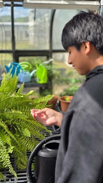 Student looking at plant.