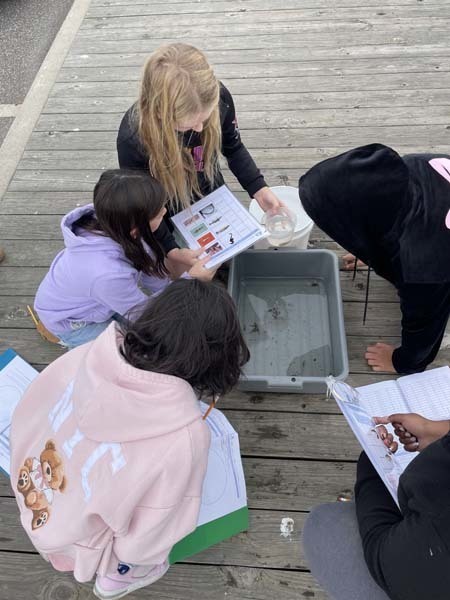 Students outside looking through box.