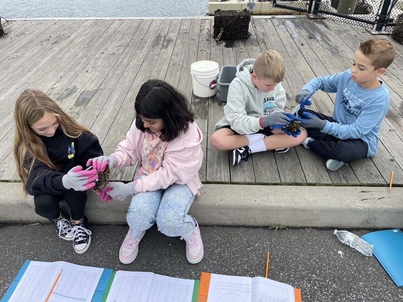 Students outside looking through box.