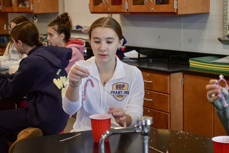 Seventh grade students in Mr. Burdi’s Physical Science class at James Wilson Young Middle School
